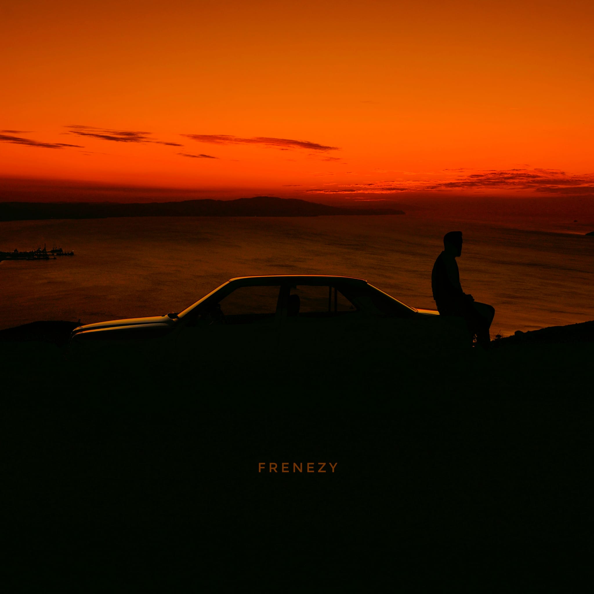Pochette Frenezy